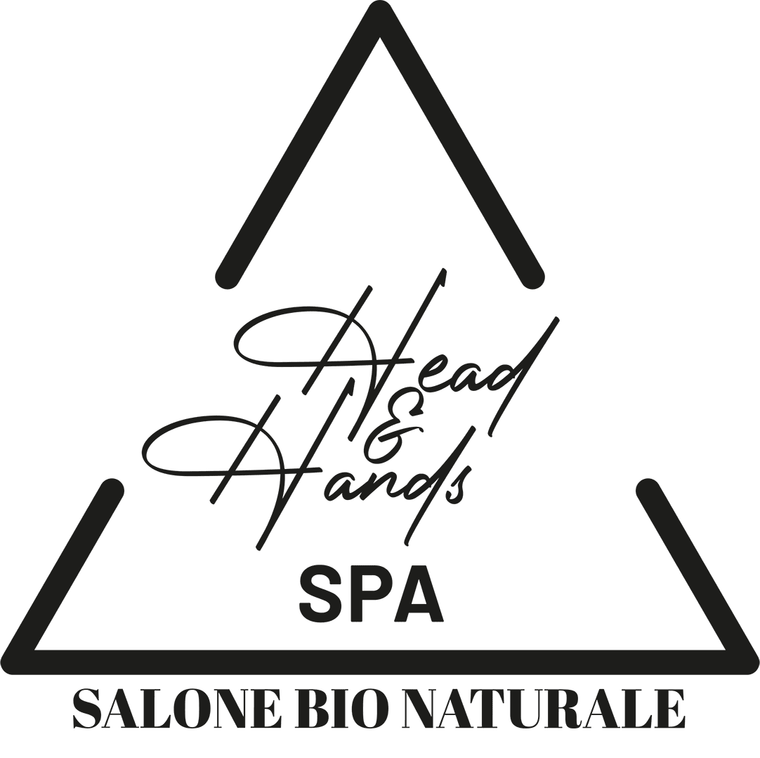 logo Salonebio servizi internet Ostia