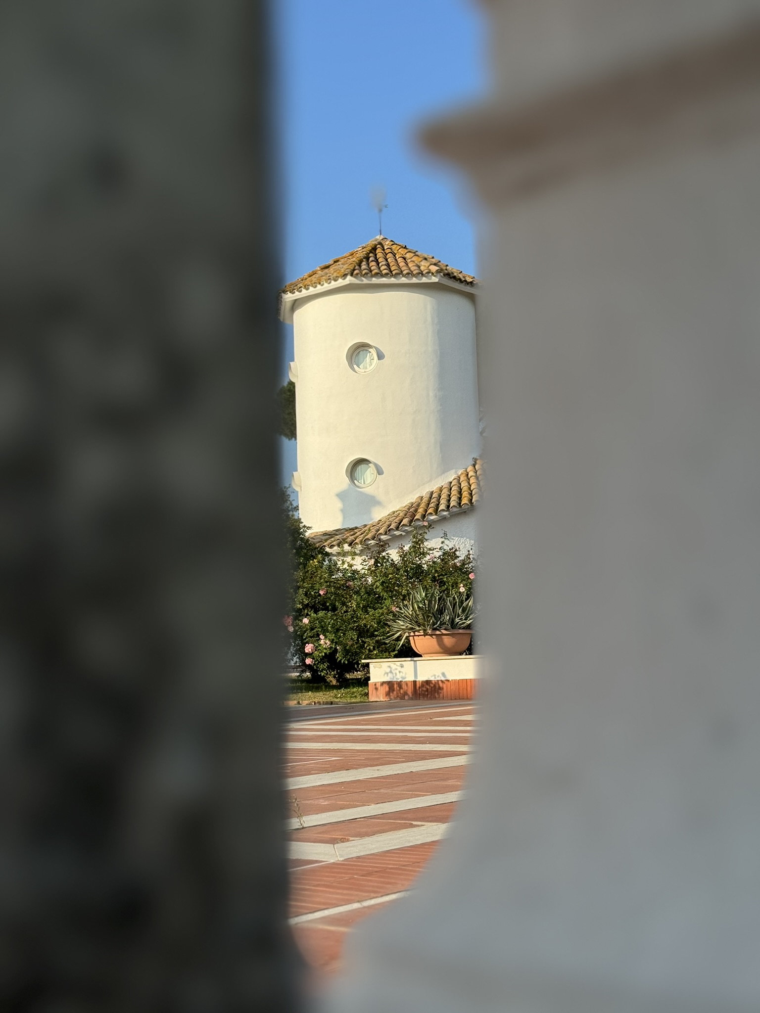 servizio fotografico professionale per aziende e attività locali ad Aurelio, Ostia e Acilia

