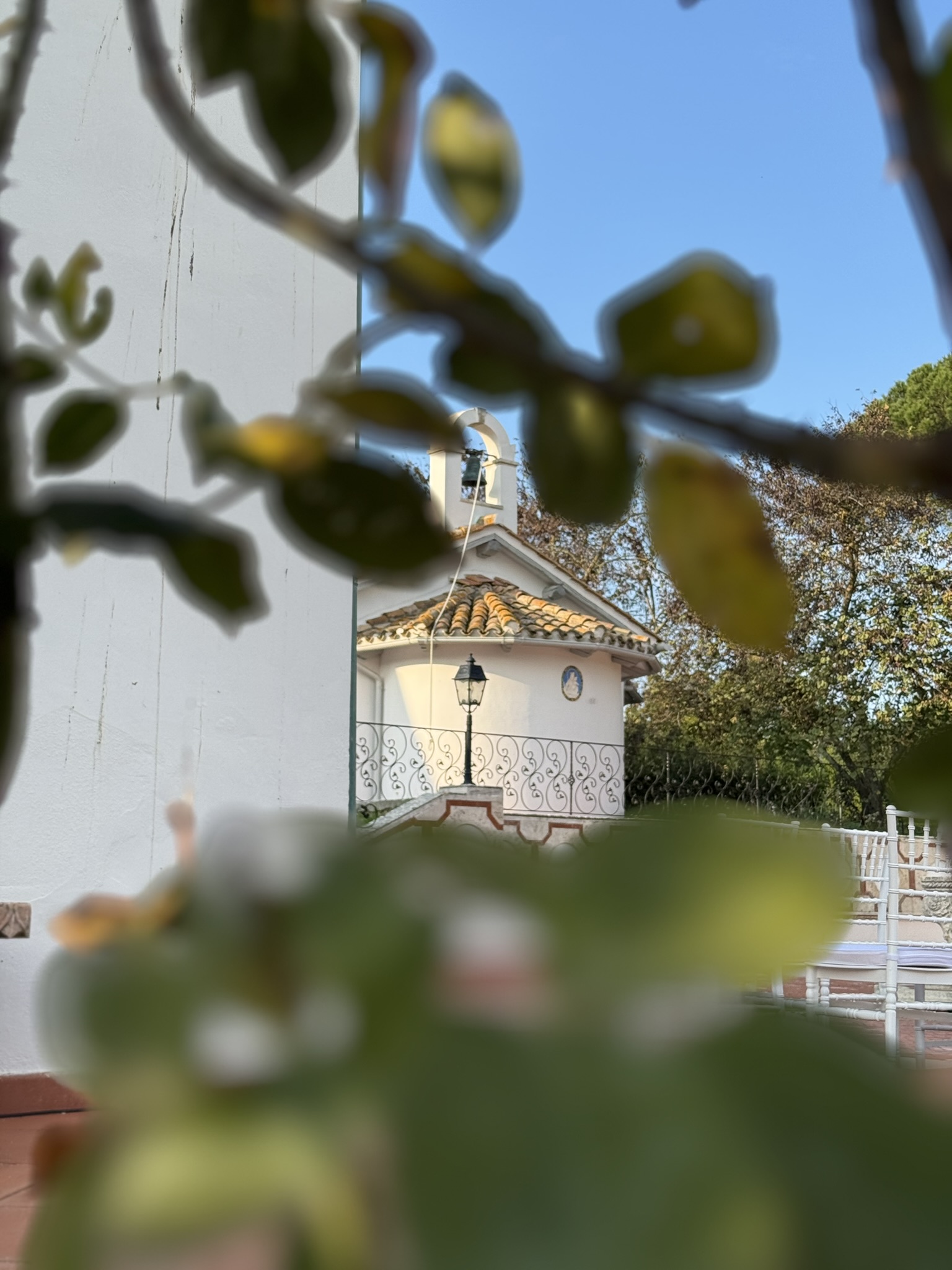 Foto aziendale su misura per attività locali – servizio fotografico Tre SRL fotografia professionale per negozi, studi e ristoranti ad Aurelio, Ostia e Acilia