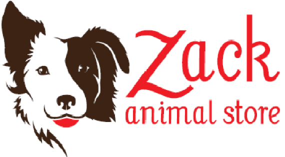 ogo Zack Animal Store web agency Roma servizi internet