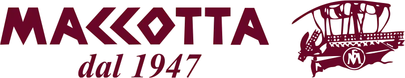 logo Maccotta servizi internet Aurelio